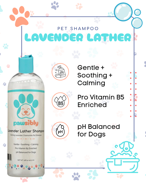 Lavender Lather Pet Shampoo